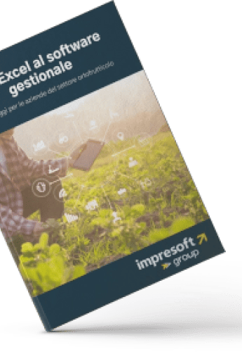 Dall’Excel al software gestionale - I vantaggi per le aziende del settore ortofrutticolo