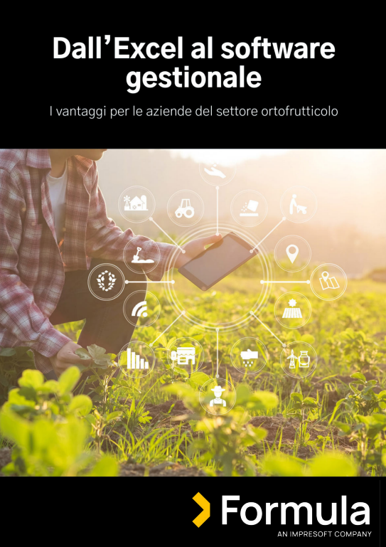 Dall’Excel al software gestionale - I vantaggi per le aziende del settore ortofrutticolo