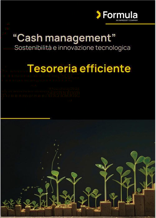 White paper - Tesoreria Efficiente