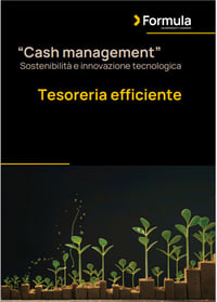 Cover_WP_Tesoreria_efficiente Cover_WP_Tesoreria_efficiente