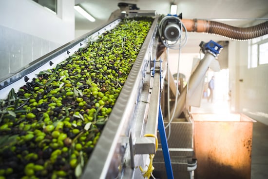 filiera di produzione
