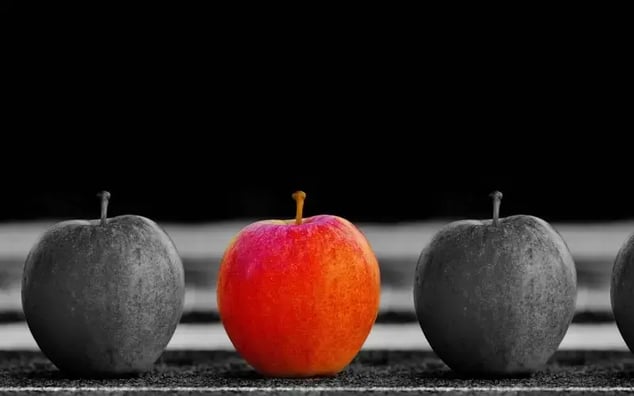 Star4_gestionale_ortofrutta-0fd53fc2