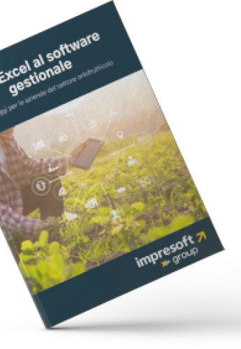 Dall_Excel_al_software_gestionale-6aea8e17 Dall_Excel_al_software_gestionale-6aea8e17