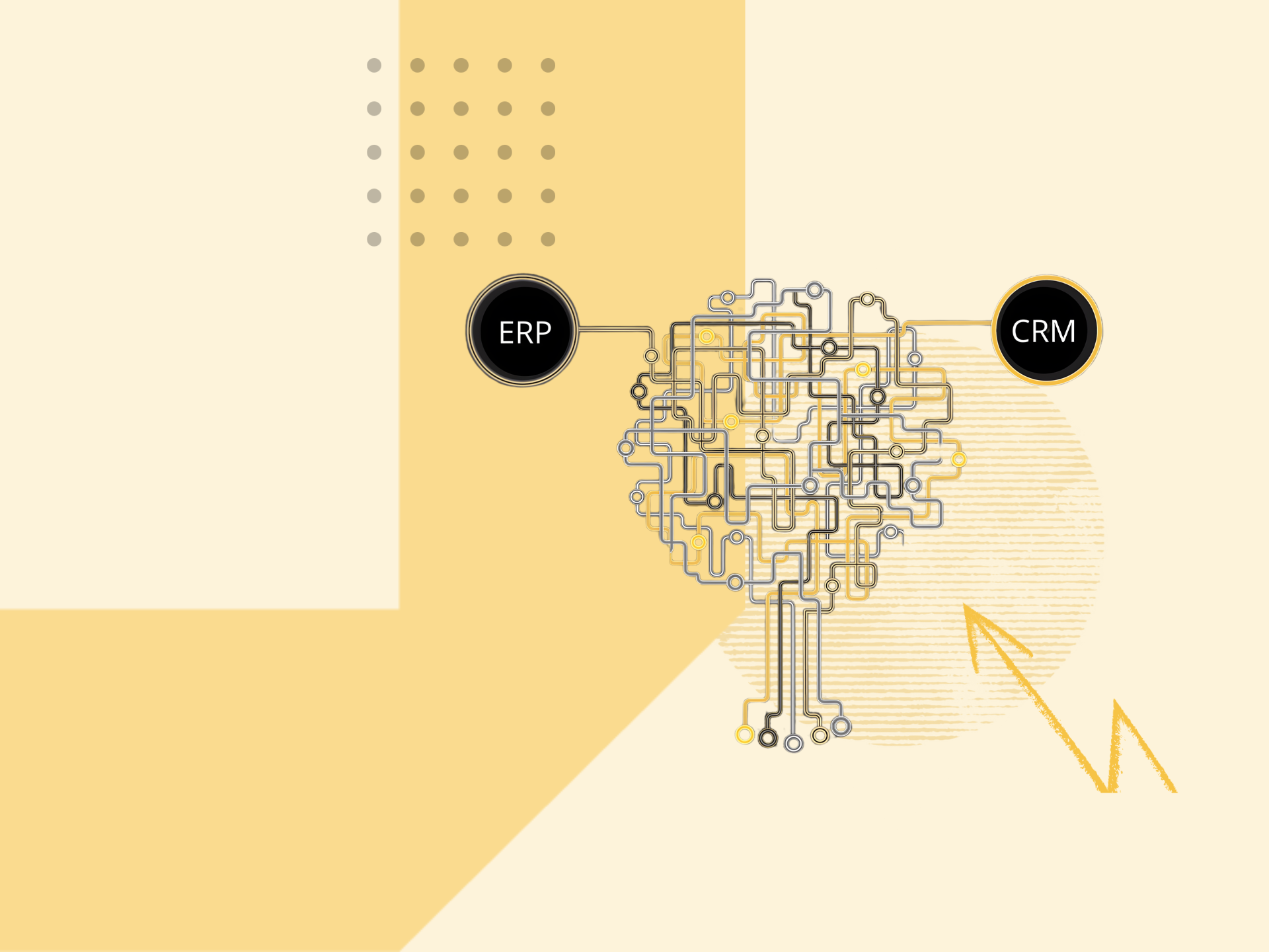 Dal lead al cash senza interruzioni.