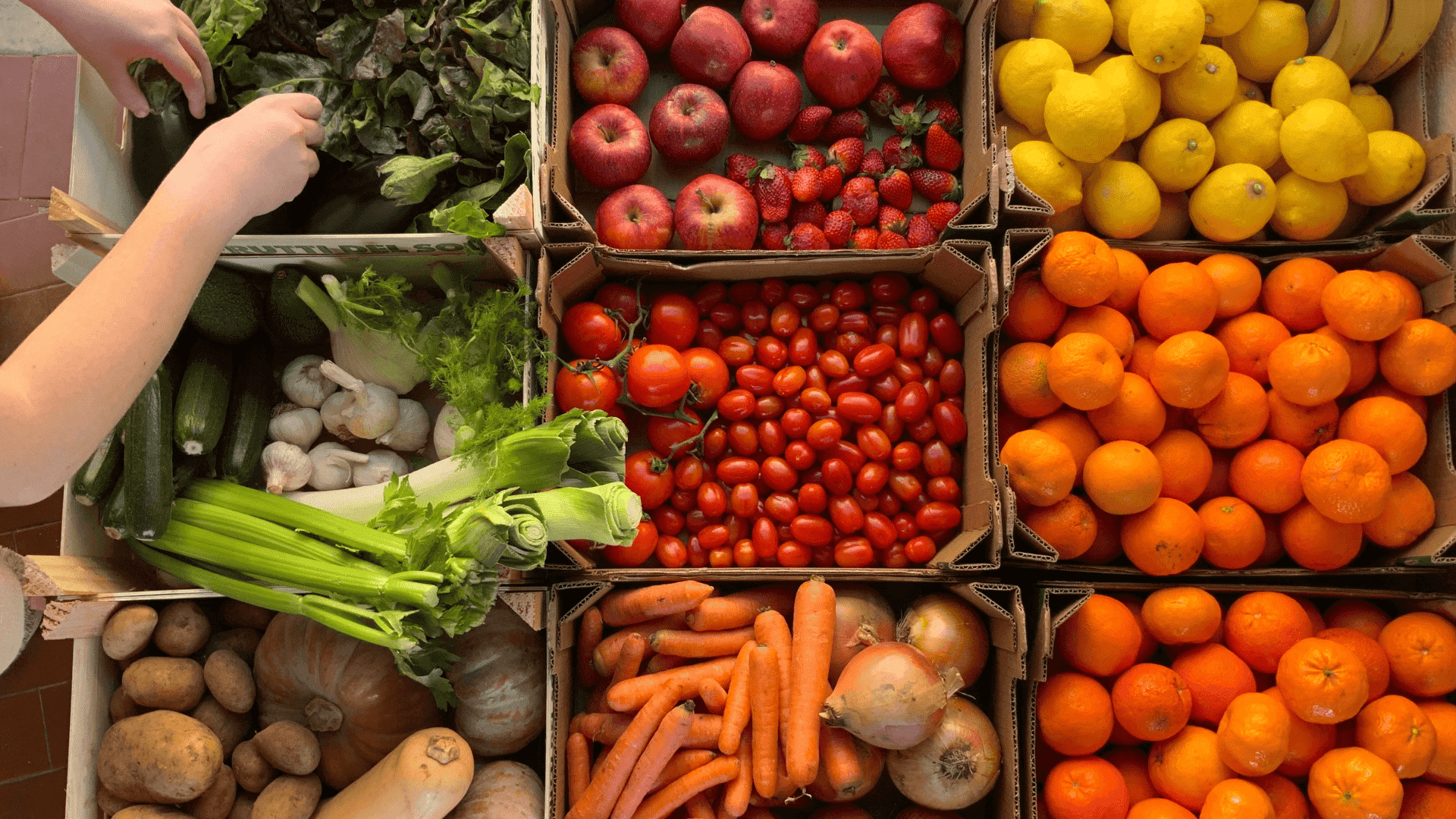 Webinar STAR4 - Come raggiungere l'eccellenza operativa nel settore Ortofrutta?