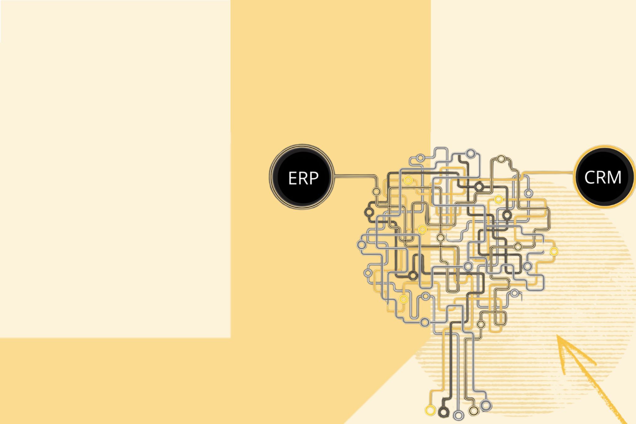 Dal lead al cash senza interruzioni. ERP + CRM = Your Digital Boost